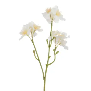 Produkt Dekorační umělá větvička s krémovými květy Kersenboom - 25 cm J-Line by Jolipa