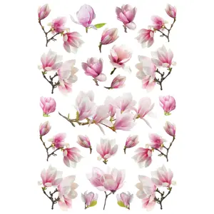 Produkt Samolepící dekorace Magnolia, 42,5 x 65 cm